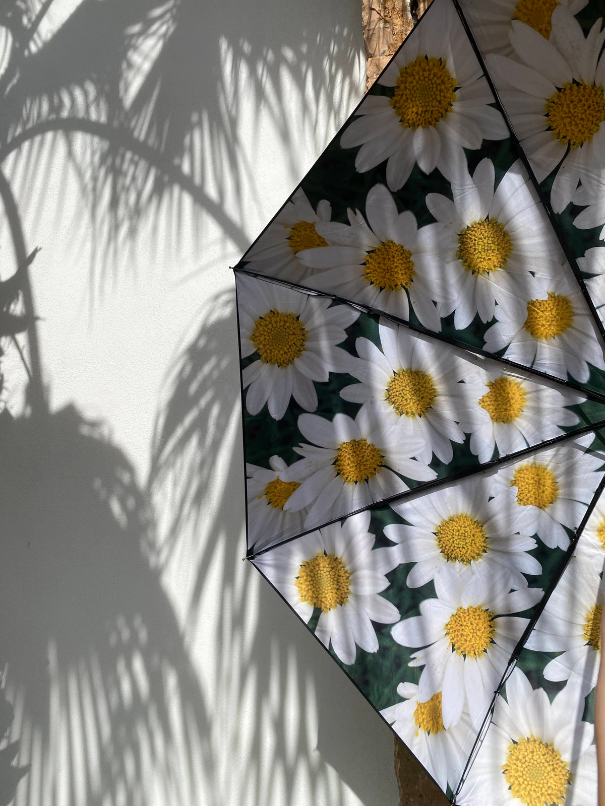 Umbrella Forest