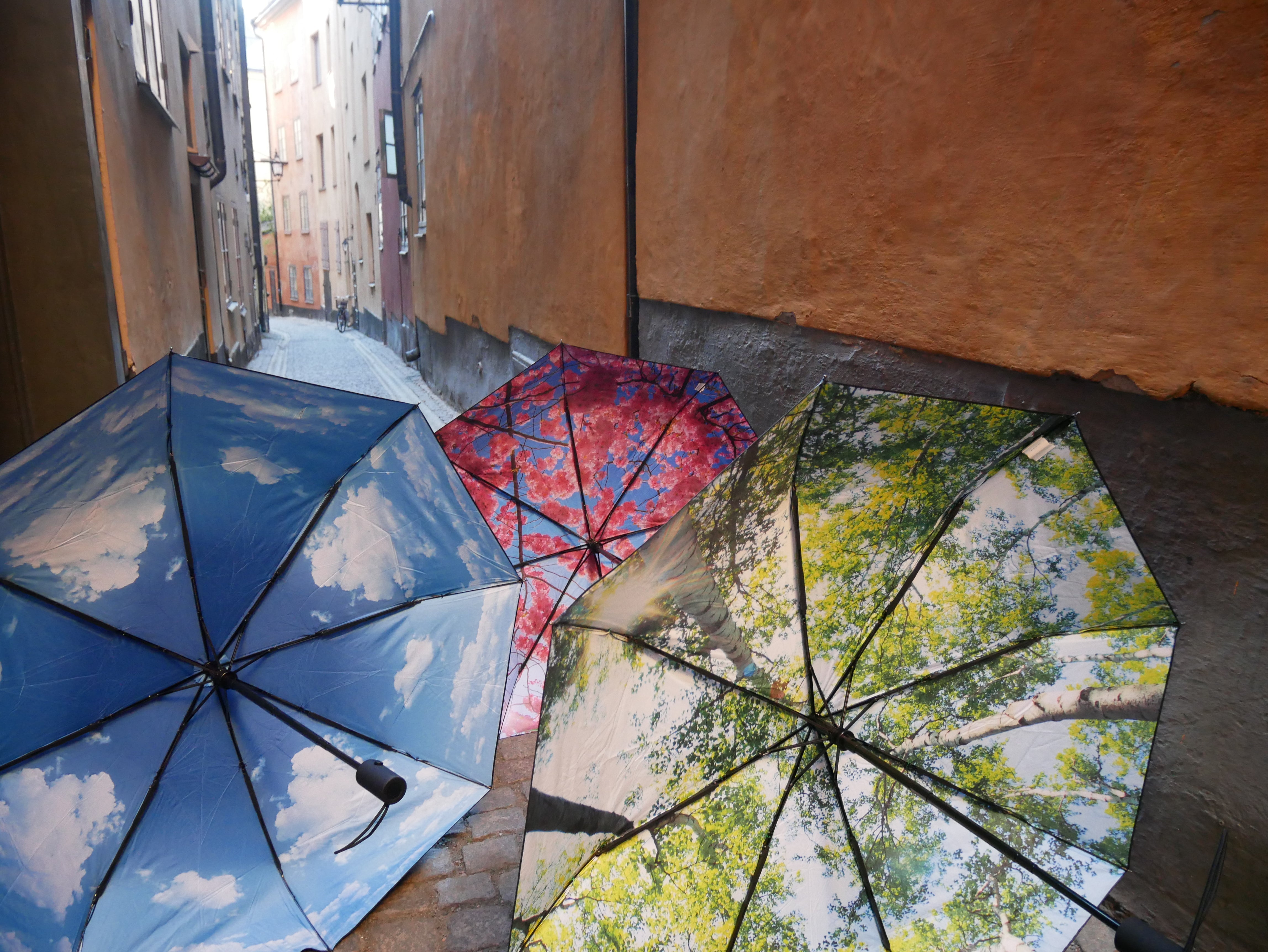 The Original Umbrella Collection – Stylish & Windproof