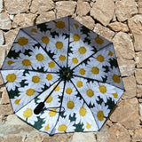 Daisy Umbrella – Cheerful, Windproof & UPF50+ Protection.