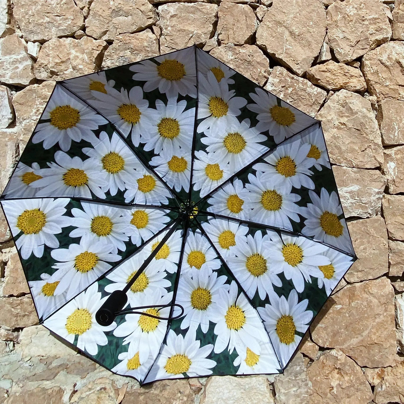 Daisy Umbrella – Cheerful, Windproof & UPF50+ Protection.