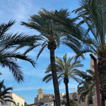 Dalt Vila Ibiza Print – Historic Beauty in A3 Matte Finish.