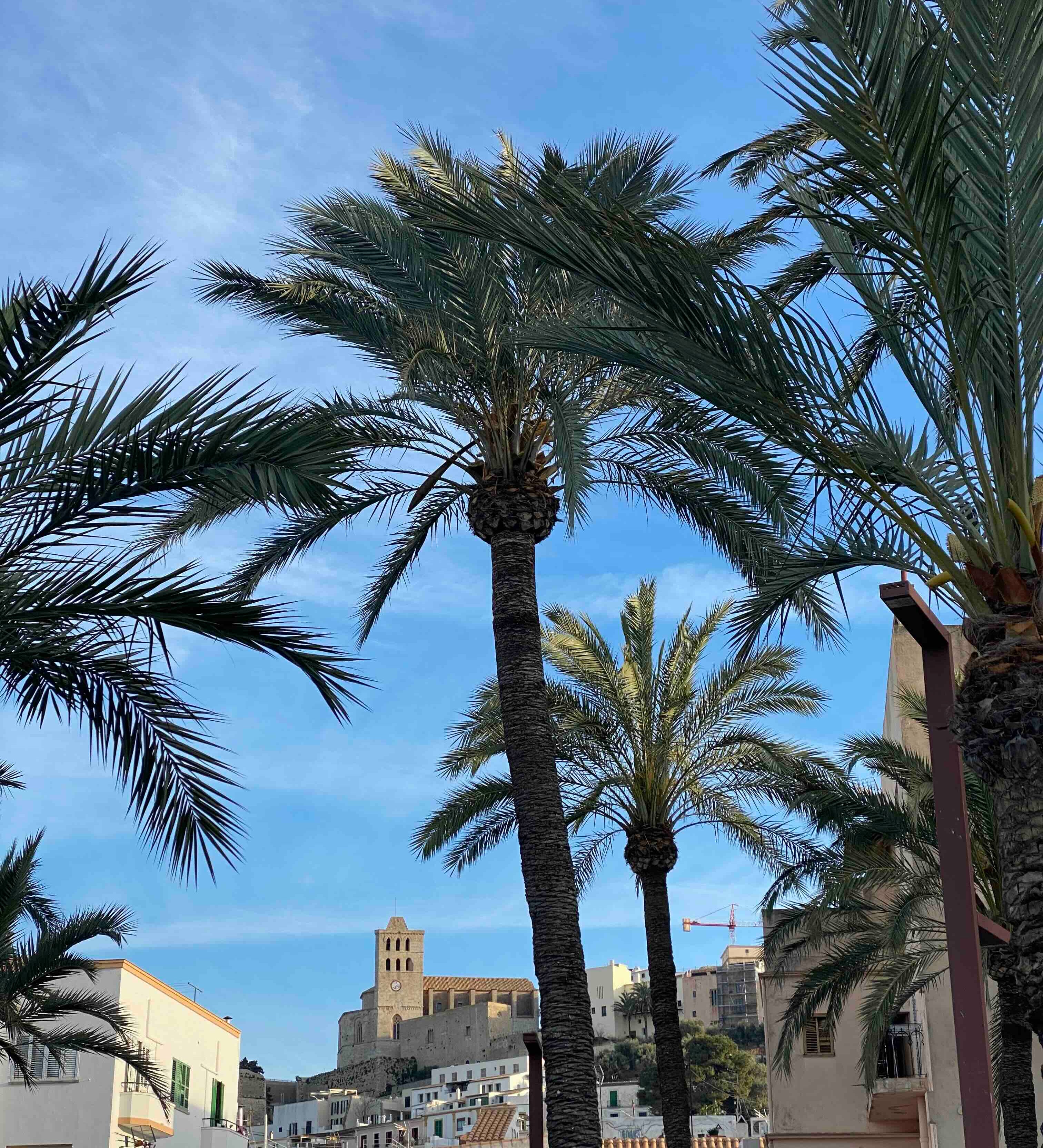 Dalt Vila Ibiza Print – Historic Beauty in A3 Matte Finish.