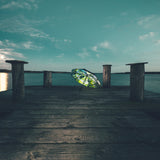 Forest Umbrella – Natural Elegance, Windproof & UPF50+.
