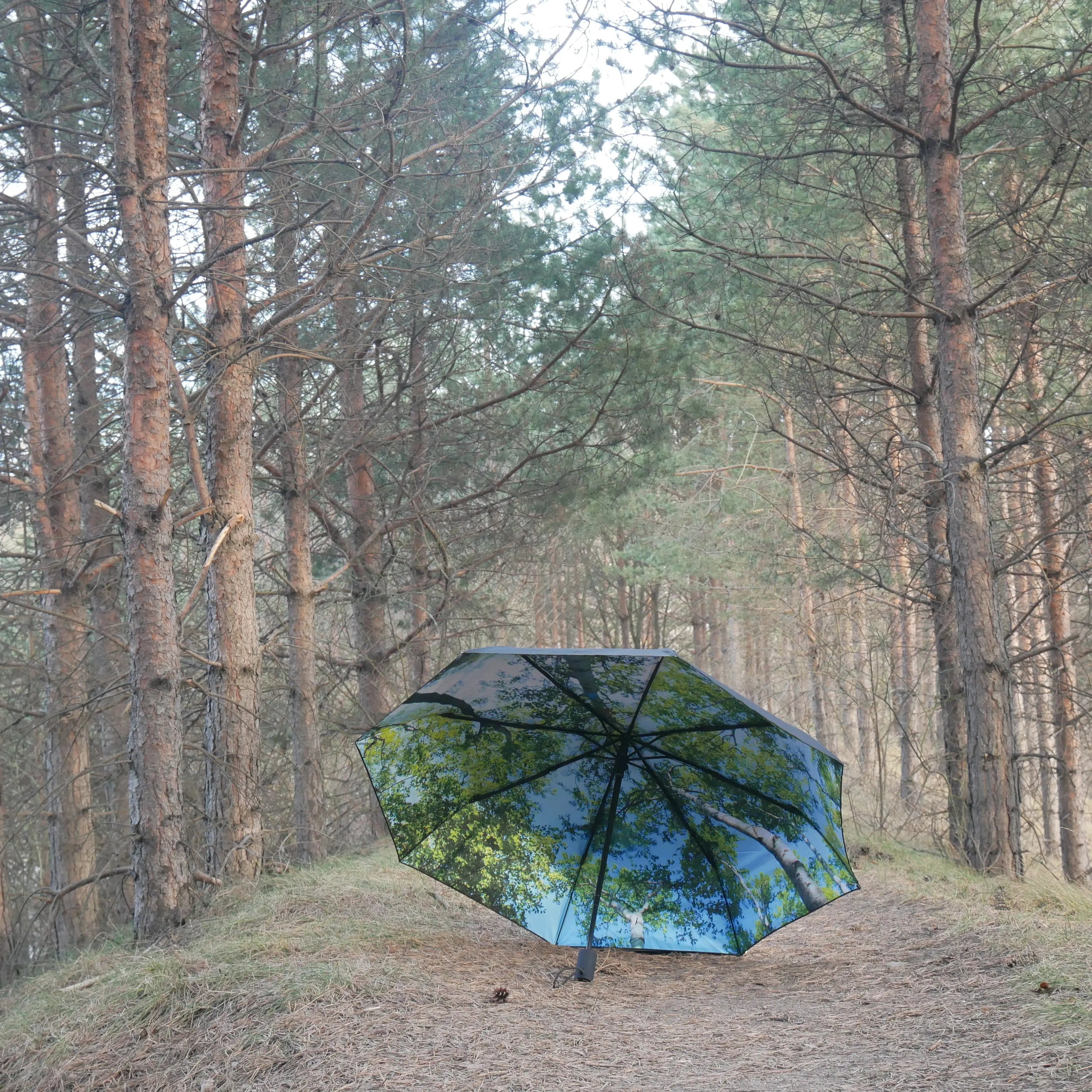 Forest Umbrella – Natural Elegance, Windproof & UPF50+.