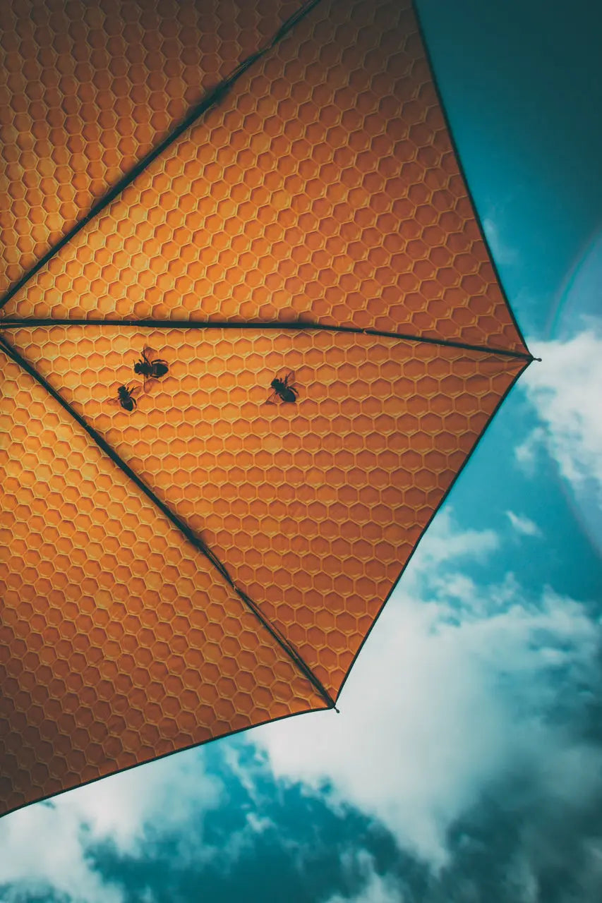 Honey Umbrella – Sweet, Windproof & UPF50+ Protection.