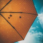 Honey Umbrella – Sweet, Windproof & UPF50+ Protection.