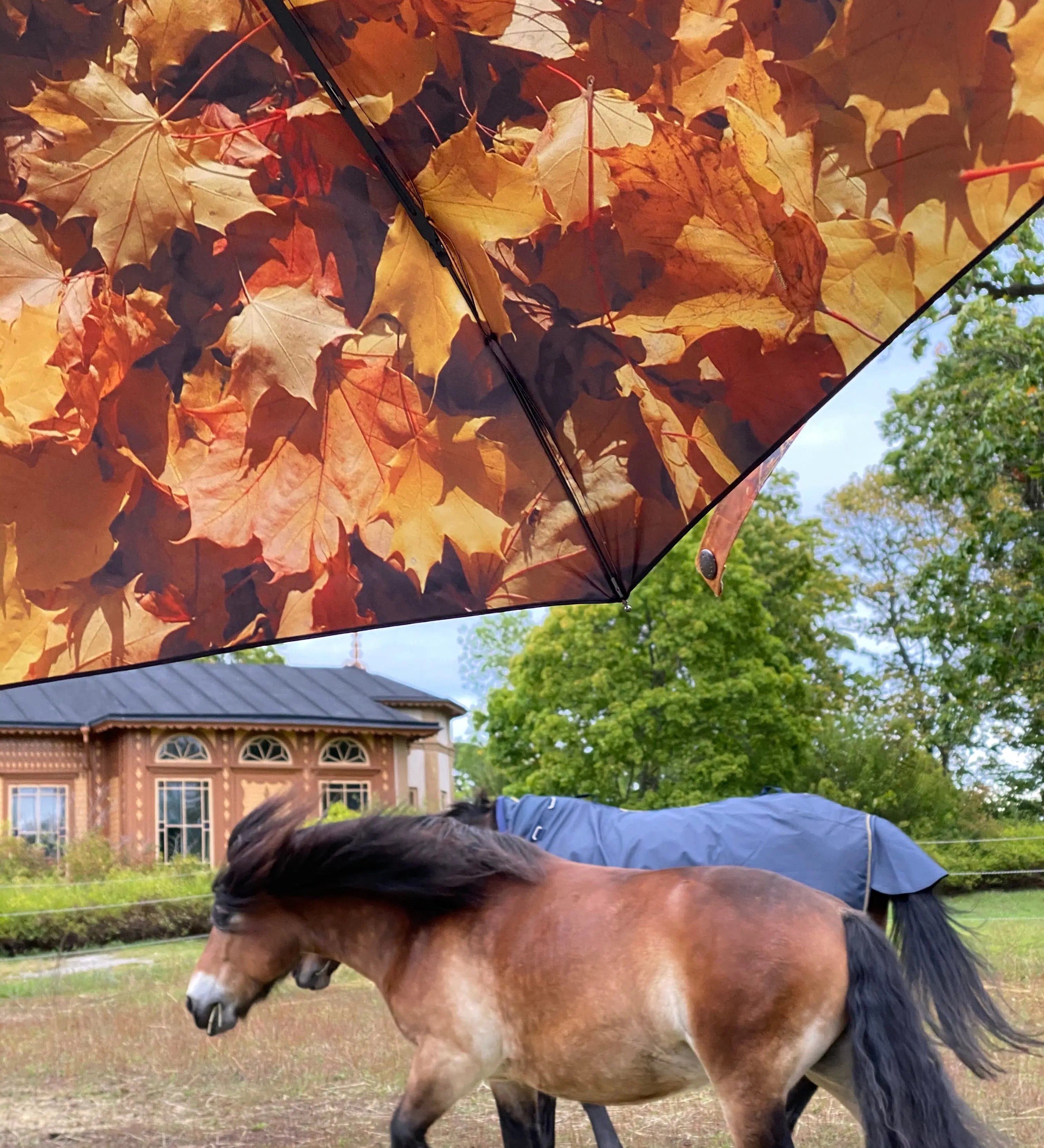 Höst Umbrella – Autumn Charm, Windproof & UPF50+ Protection.