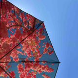 Cherry Beach & Terrace Parasol – UPF50+ Sun Protection