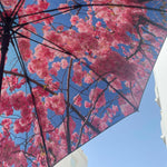 Cherry Large Umbrella – Elegant, Windproof & UPF50+ Protection.