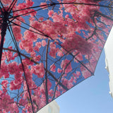 Cherry Large Umbrella – Elegant, Windproof & UPF50+ Protection.