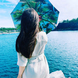 Paradise Umbrella Bundle – Umbrella + Cover (Save 15%)