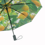 Lemon Umbrella – Vibrant, Windproof & UPF50+ Protection.