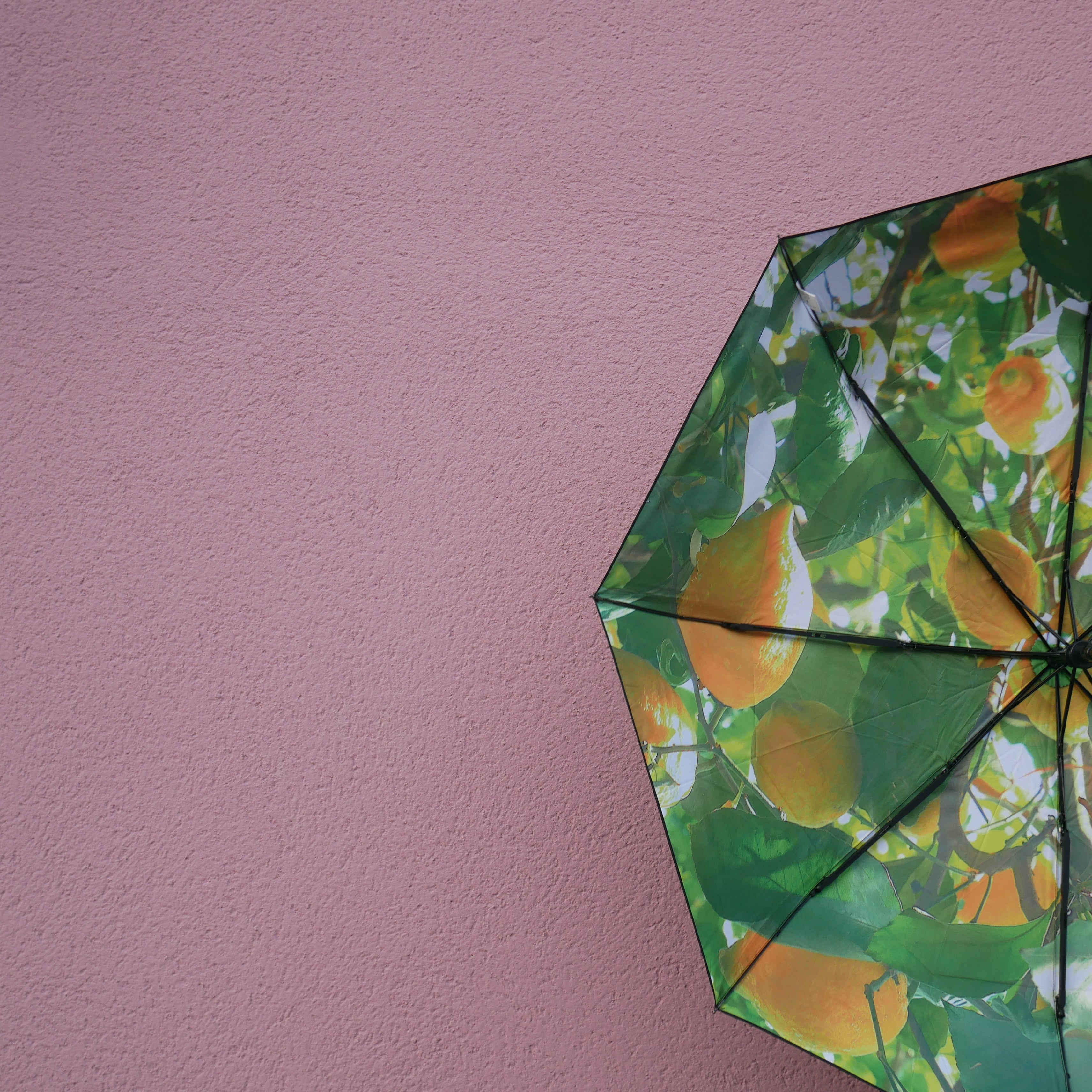 Lemon Umbrella – Vibrant, Windproof & UPF50+ Protection.